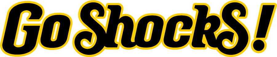 Wichita State Shockers 2011-2019 Wordmark Logo diy iron on heat transfer